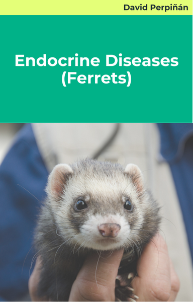 Endocrine Diseases (Ferrets)