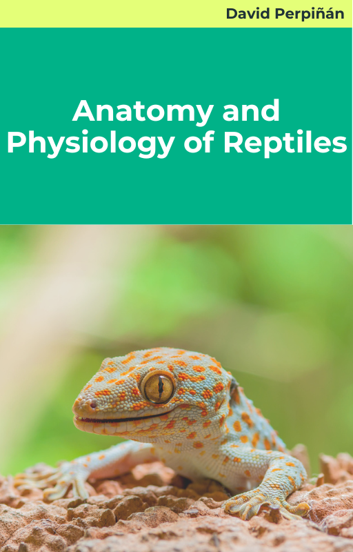 Anatomy and Physiology of Reptiles