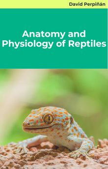 Anatomy and Physiology of Reptiles