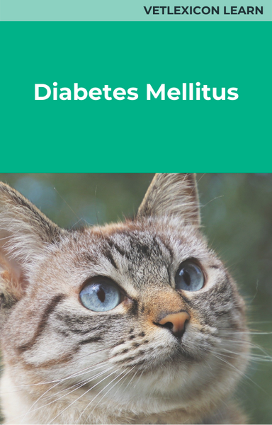 Diabetes mellitus (feline)