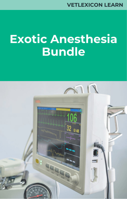 Exotic Anesthesia Bundle