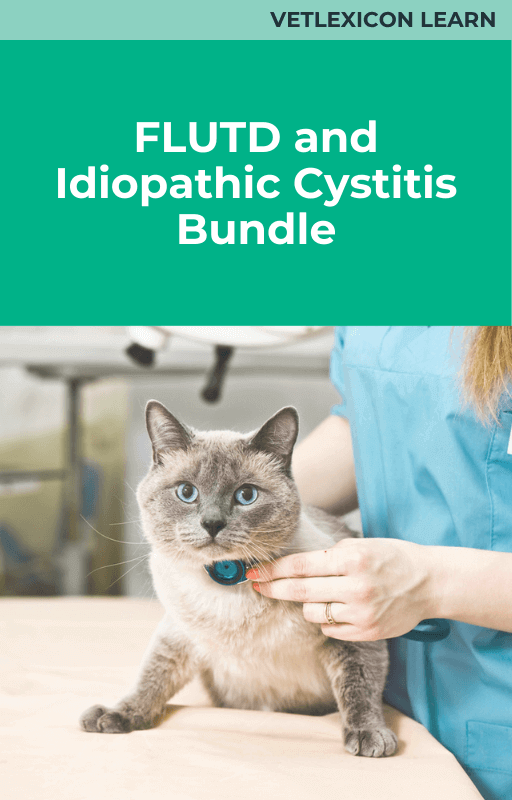 FLUTD and Idiopathic Cystitis Bundle