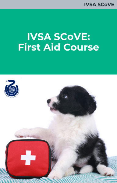 IVSA SCoVE: First Aid Course