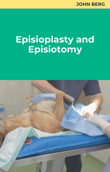 John Berg Episioplasty and Episotomy