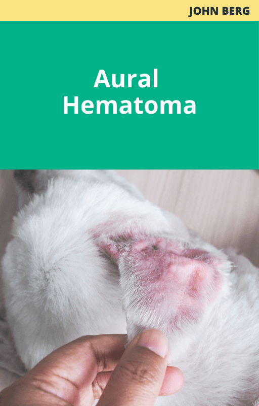 John Berg Aural Hematoma