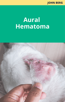 John Berg Aural Hematoma
