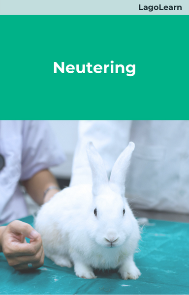Neutering