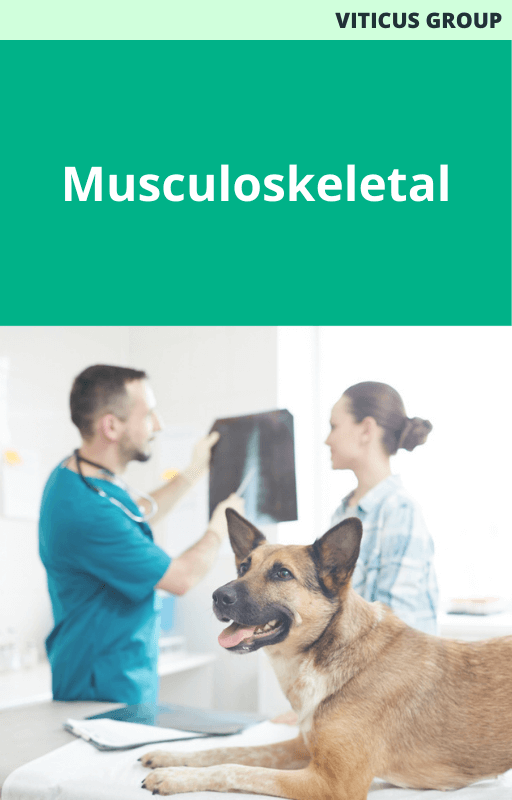 Viticus Group Musculoskeketal