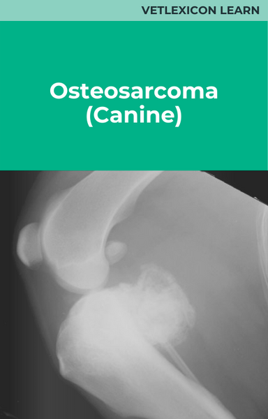 Osteosarcoma (Canine)
