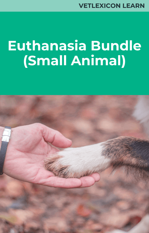 Euthanasia Small Animal