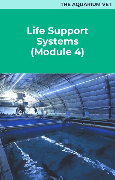 Life Support Systems (Module 4)