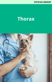 Viticus Group Thorax