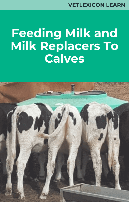 Feeding Milk and Milk Replacers To Calves