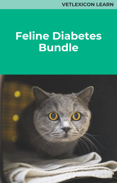 Feline Diabetes Bundle