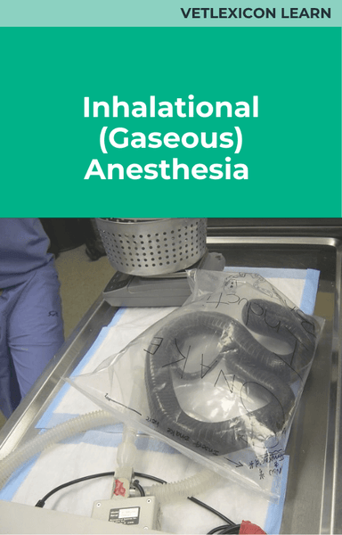 Inhalational (gaseous) Anesthesia (Reptiles)