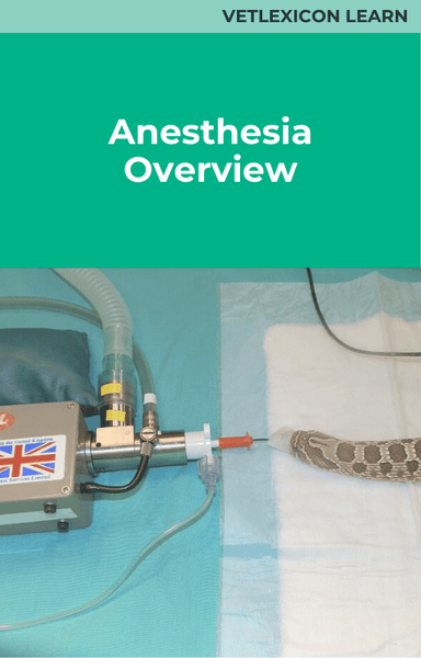Anesthesia Overview (Reptile)