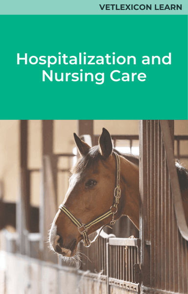 Hospitalization and Nursing Care