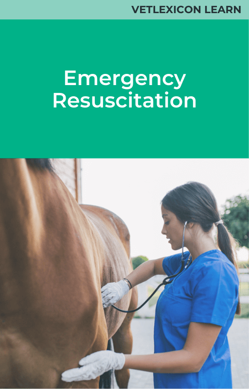 Equine Emergency Resuscitation