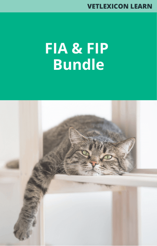 Feline Infectious Anemia and Feline Infectious Peritonitis Course Bundle