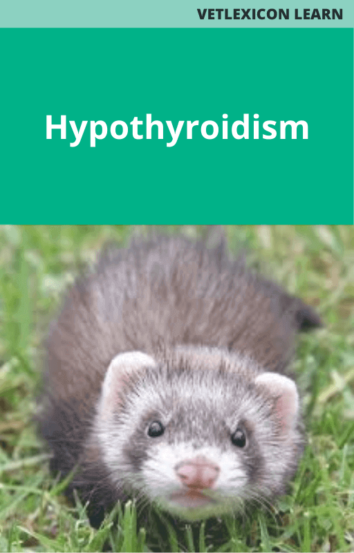 Hypothyroidism