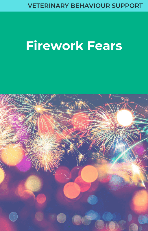 Firework Fears