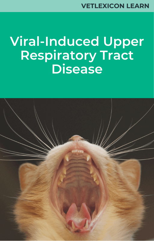 Viral-Induced Upper Respiratory Tract Disease