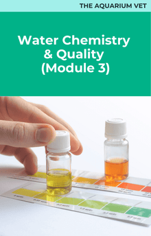 The Aquarium Vet Water Chemistry and Quality
